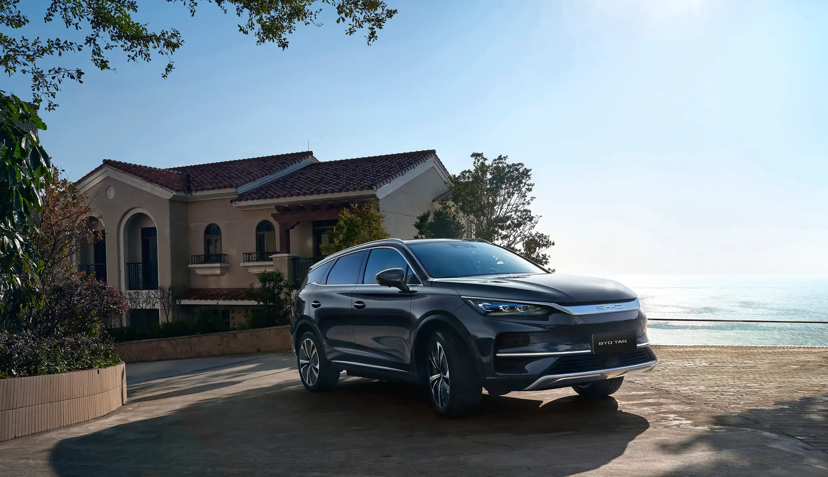 TAN EV — BYD TAN EV